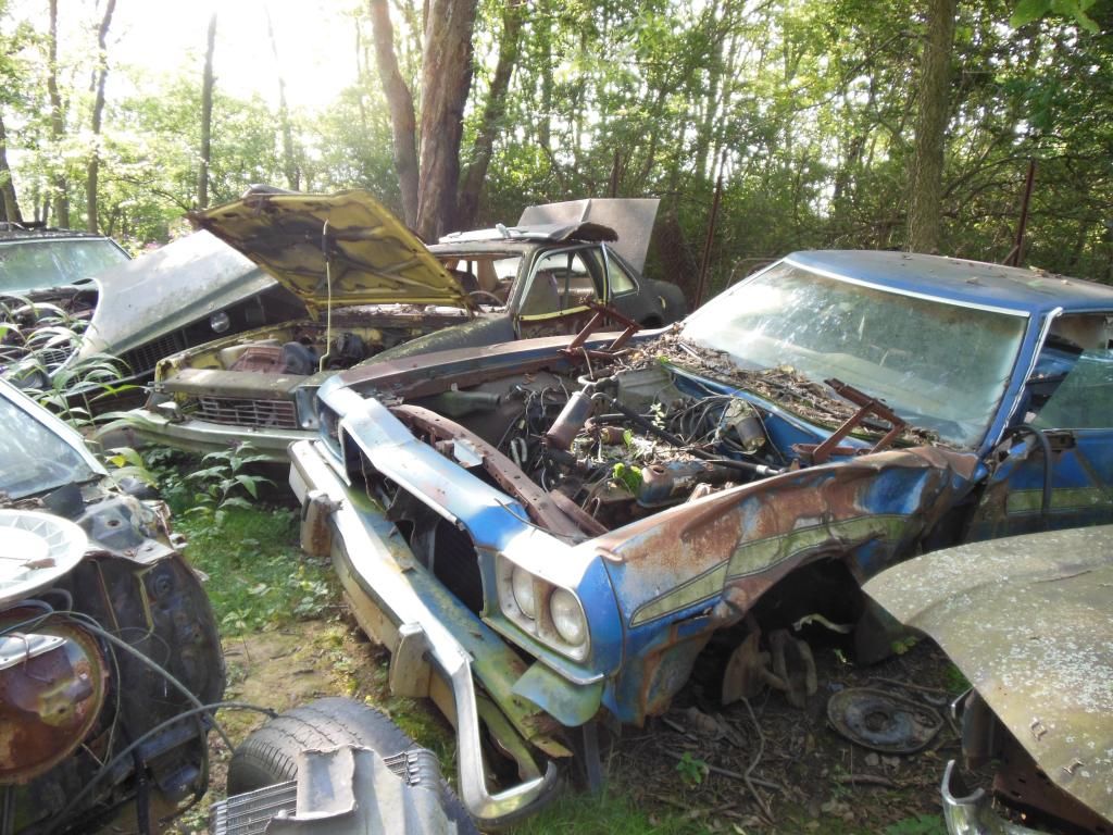Stark wrecking yard, Dayton OH